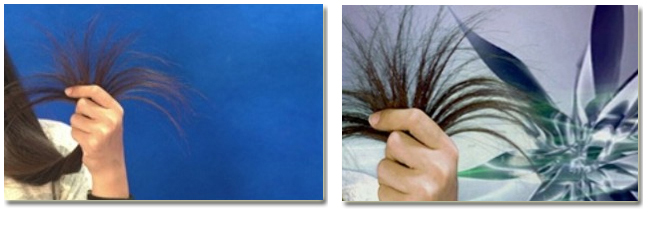 绣歌软件—升级产品，树立新创新